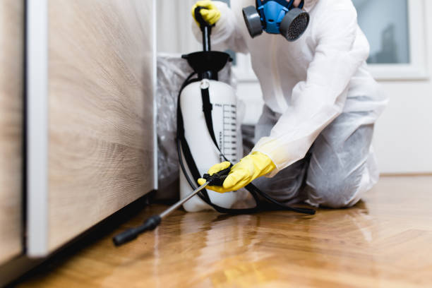 Professional Pest Control in Skippers Corner, NC