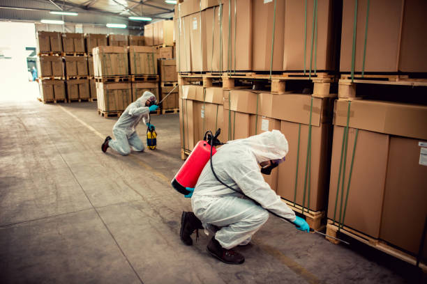 Best Ant Control Services  in Skippers Corner, NC