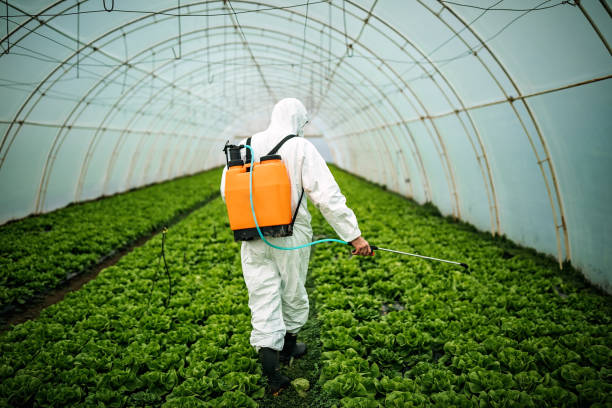 Best Best Pest Control Companies  in Skippers Corner, NC