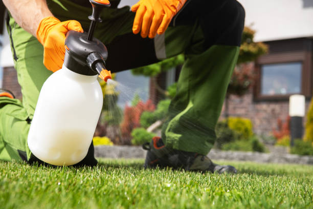 Best Pest Prevention Services  in Skippers Corner, NC