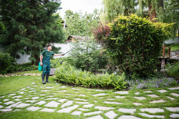 Best Residential Pest Control  in Skippers Corner, NC