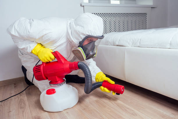 Best Wasp Removal Services  in Skippers Corner, NC