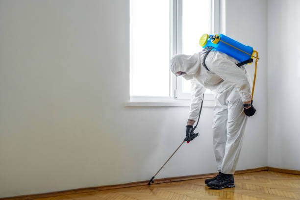 Best Emergency Pest Control  in Skippers Corner, NC