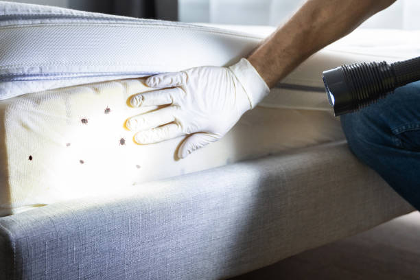 Best Cockroach Control Services  in Skippers Corner, NC
