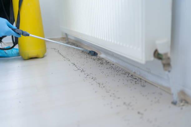 Best Emergency Pest Control  in Skippers Corner, NC